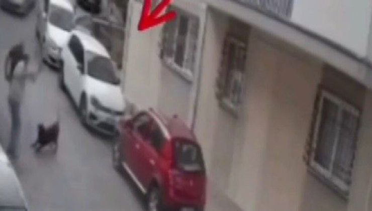 Köpeğe kemerle vurdu!