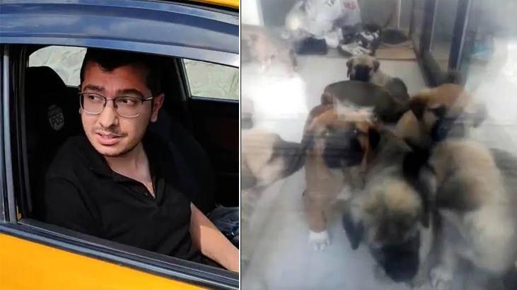 Sahiplendiği köpekleri istismar edip öldürmekle suçlanan doktorun cezası belli oldu