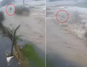 Sele kapılan Bülent Kaptanoğlu’nun son anları kamerada! Ne yapsa kurtulamadı