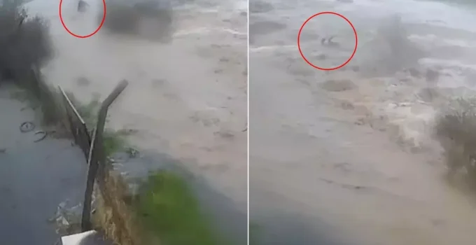 Sele kapılan Bülent Kaptanoğlu’nun son anları kamerada! Ne yapsa kurtulamadı