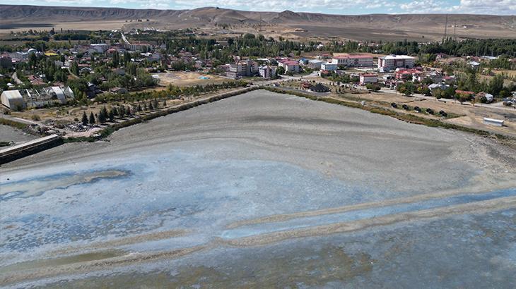 Ulaş Gölü'nde iç acıtan manzara! Bir zamanlar göçmen kuşların konaklama noktasıydı