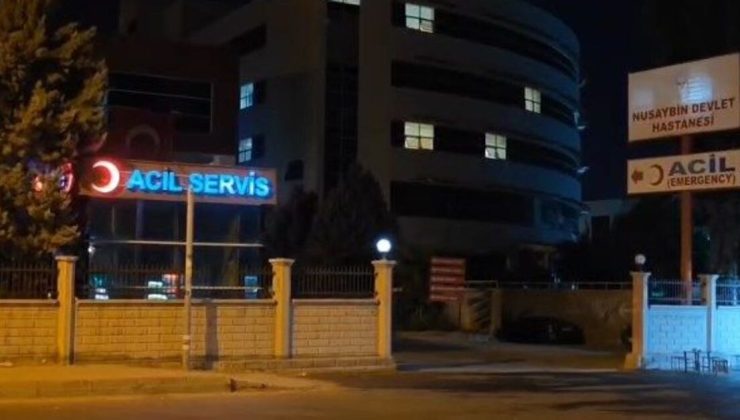 Üzerinden kimlik çıkmadı… Yanmış erkek cesedi bulundu! Mardin’de vahşet!