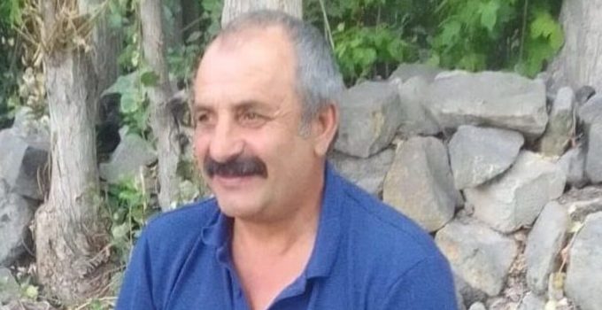 Üzerine tomruk düşen işçi öldü