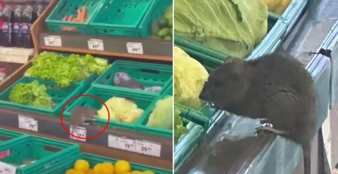 3 harfli market zincirinde skandal görüntü