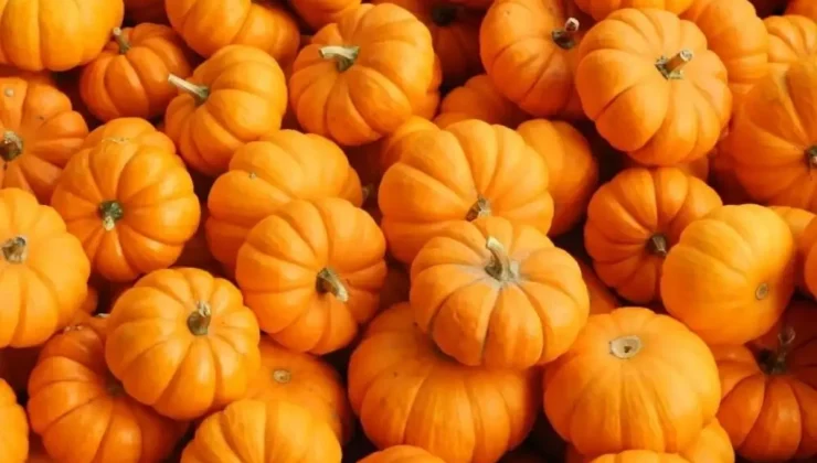 Balkabağı Mutfaklarda Geleneksel Rolünün Dışına Çıktı