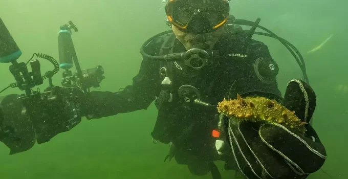 Belediye başkanı dalgıç kıyafeti giydi, dibe indi: Gördüğü manzara şaşırttı