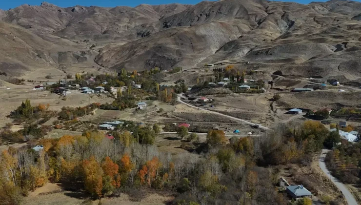 Bu köyde imam hariç herkesin soyadı aynı