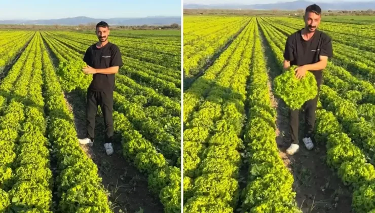 Çiftçi böyle isyan etti: Satarsam şerefsizim, koyunları otlatacağım