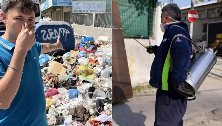 Çöp krizi istilaya dönüştü, şehir dört koldan ilaçlanıyor