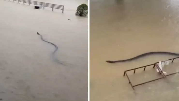 Devasa boyutlarda! Selin vurduğu ülkeden kabus görüntüleri