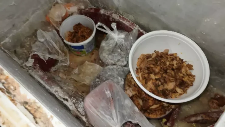 Devrek’te sağlığa uygunsuz pide imalatı yapan iş yeri mühürlendi