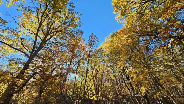 Dünyada bir tek Isparta’da var! İzinsiz girmenin cezası bir servet değerinde