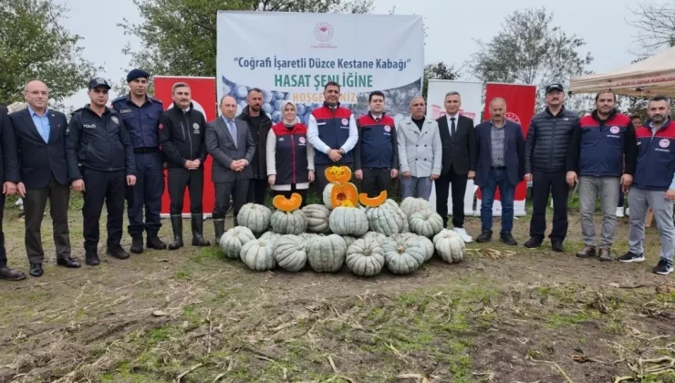Düzce’de Kestane Kabağı hasadı başladı: 10 bin tonun üzerinde rekolte bekleniyor