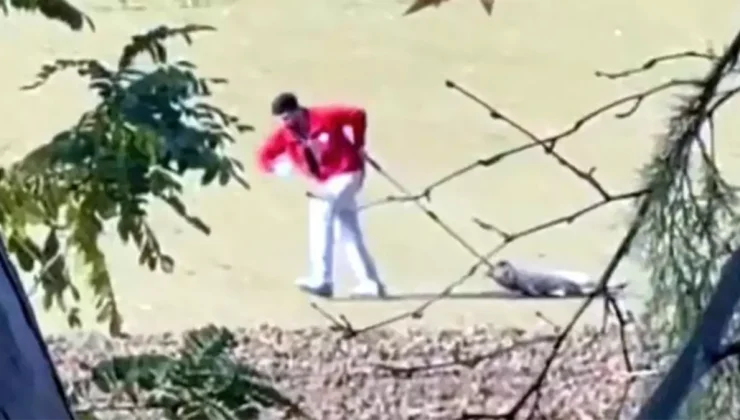 Edirne’de sahipsiz köpeği sürükleyen belediyede personeli gözaltına alındı