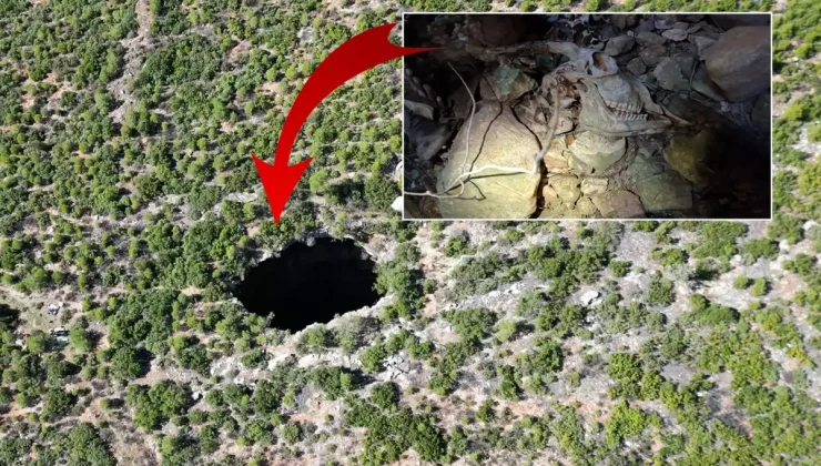 Fenomen "İnersen çıkamazsın" denilen 90 metrelik çukura girdi! Aşağı gördükleri korkunç