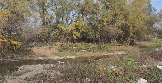 Gürcistan’da Türk vatandaşı ormanlık alanda ölü bulundu