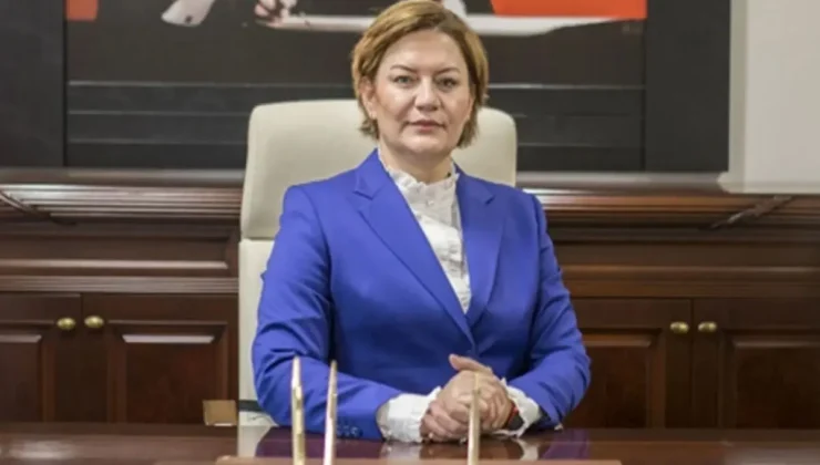 Havvanur Yurtsever HSK üyeliğine seçildi