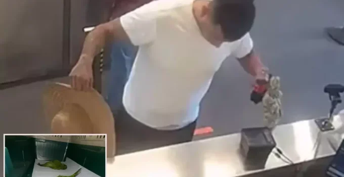 İç çamaşırında kaçak papağanlarla sınırı geçmeye çalıştı