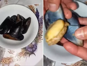 İnsanlara ne yediriyorlar? Midyeye tövbe ettirecek görüntü