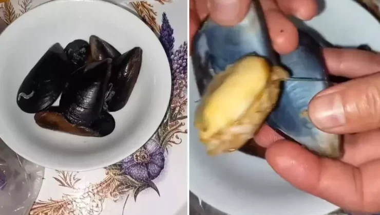 İnsanlara ne yediriyorlar? Midyeye tövbe ettirecek görüntü