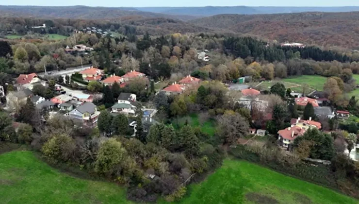 İstanbul’daki küçük Polonya! Her şey iki alay askerin gelişiyle başladı