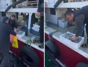 Kasalar dolusu balığı bedava dağıttılar! Nedeni de bir o kadar ilginç