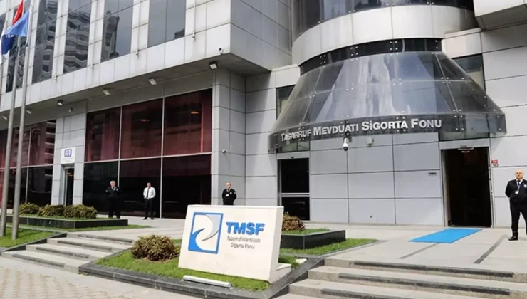 Kayyum atanan Hat Holding ne iş yapar?