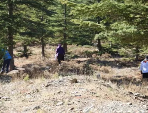 Kilosu etle yarışıyor! Japonların gözdesi "beyaz altın"da hasat başladı