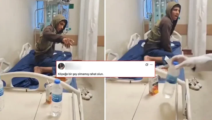 Kuduzdan hayatını kaybeden genç için yapılan yoruma tepki yağıyor