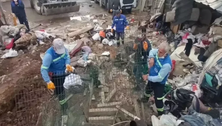 Mersin’de şok eden görüntü: Evden 10 kamyon çöp çıktı