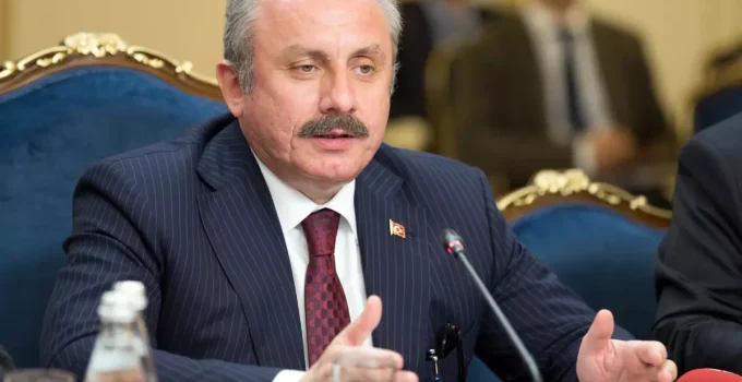 Mustafa Şentop: Üniversiteyi bitirmiş olmak, evlenme yaşını yukarıya taşıyor