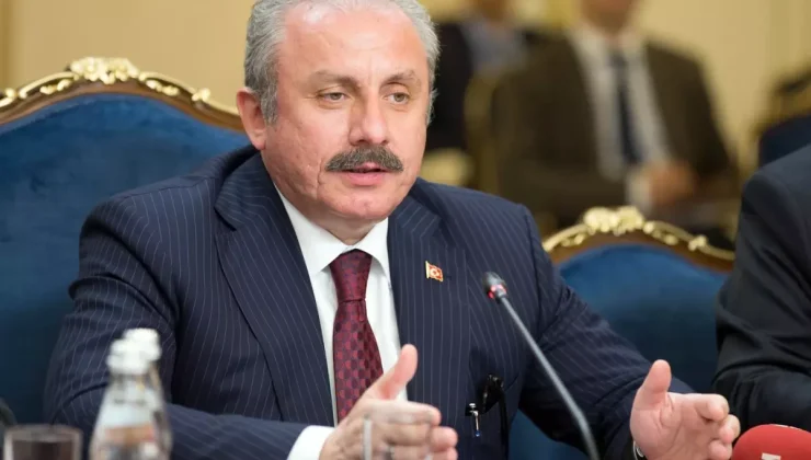 Mustafa Şentop: Üniversiteyi bitirmiş olmak, evlenme yaşını yukarıya taşıyor