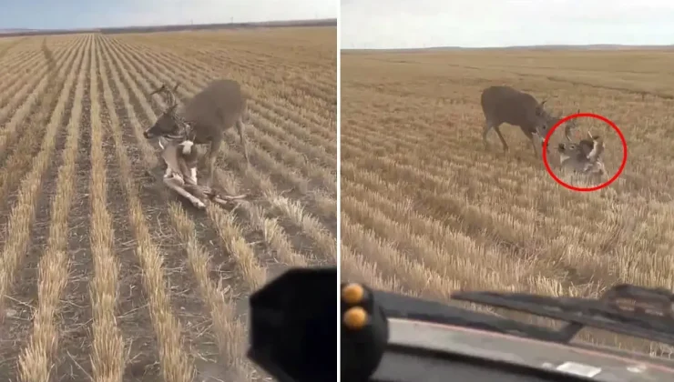 Nasıl olduğuna kimse anlam veremiyor: Bozkırın ortasında dehşete düşüren görüntü