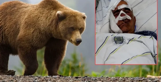 Neye uğradığını şaşırdı! Pençe darbeleri aldı, elmacık kemiği koptu