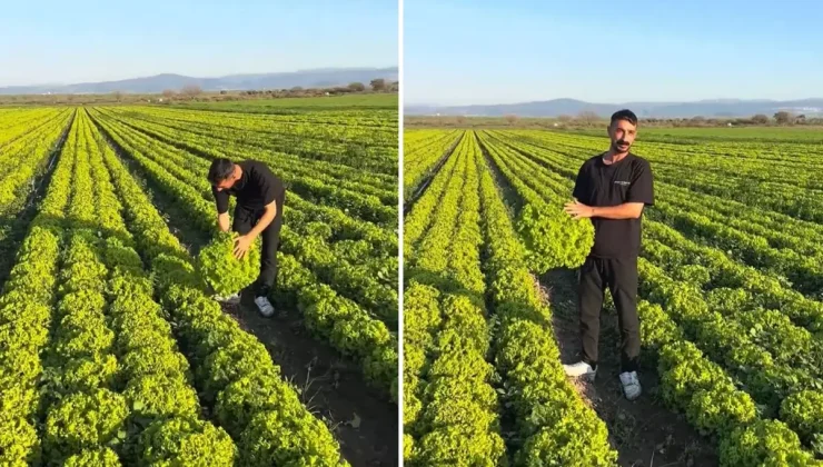 "Satarsam şerefsizim" diyen İzmirli çiftçinin isyanı pahalıya patladı