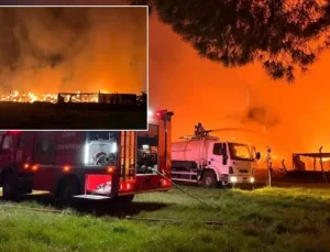 Rüzgarın etkisiyle büyüdü! İzmir’de gece yarısı korkutan yangın