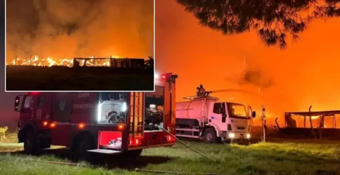 Rüzgarın etkisiyle büyüdü! İzmir’de gece yarısı korkutan yangın
