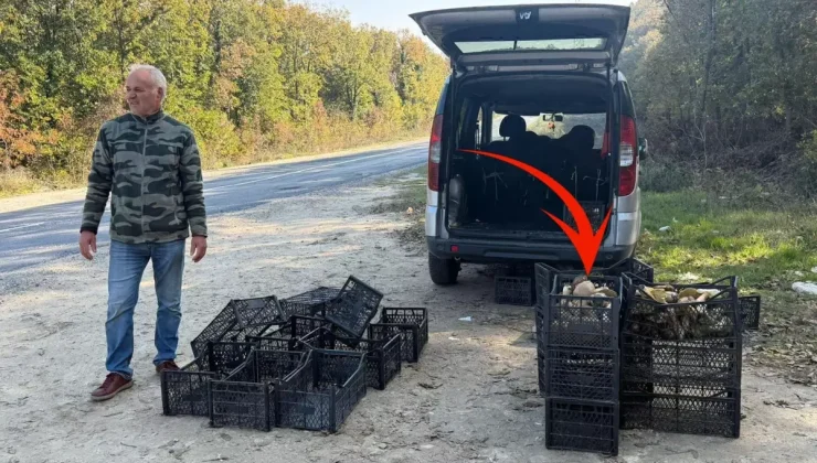 Saatlerce gezip 3 adet bulabiliyorlar! Kiloyla değil gramla satılıyor