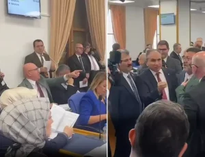 Tanal "Şanlıurfa ve Adıyaman karanlıkta" dedi, komisyonda kavga çıktı