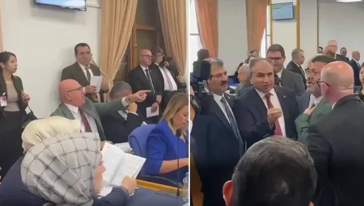 Tanal "Şanlıurfa ve Adıyaman karanlıkta" dedi, komisyonda kavga çıktı