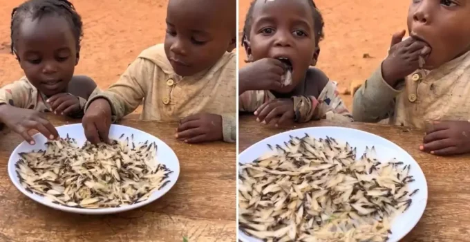 Yapay zeka değil gerçek! Yedikleri şeyin ne olduğunu bir bilseniz