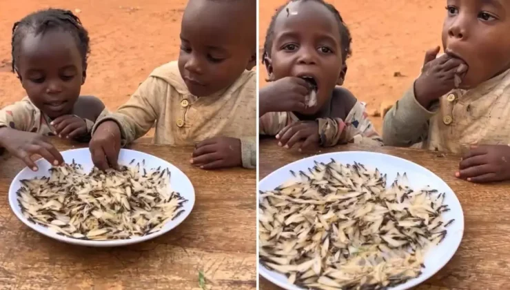 Yapay zeka değil gerçek! Yedikleri şeyin ne olduğunu bir bilseniz