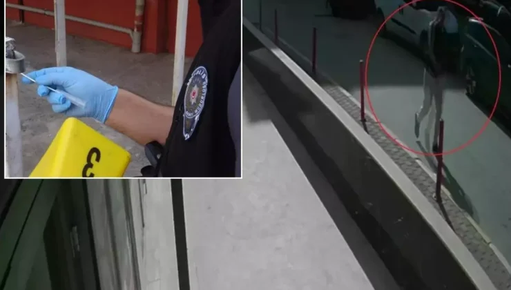 Yoldan geçenlere dehşet yaşattı! Adım adım izleyerek yakaladılar