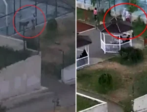 2 kardeşe saldıran pitbulun sahibi tutuklandı! Köpeği tasmasız gezdirdiği anlar kamerada