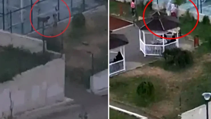2 kardeşe saldıran pitbulun sahibi tutuklandı! Köpeği tasmasız gezdirdiği anlar kamerada