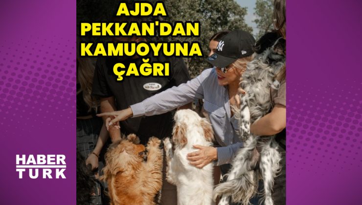 Ajda Pekkan’dan o görüntülere tepki