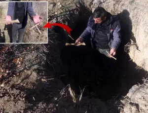 Altın bulmak için kazdıkları tarihi mezarlıktan kemik çıkardılar