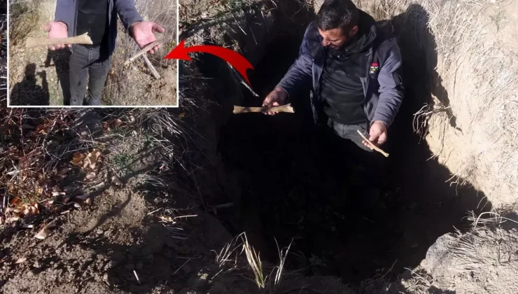 Altın bulmak için kazdıkları tarihi mezarlıktan kemik çıkardılar