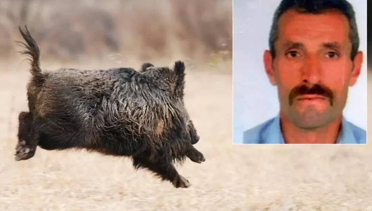 Avlamak istediği domuz talihsiz adamın sonu oldu