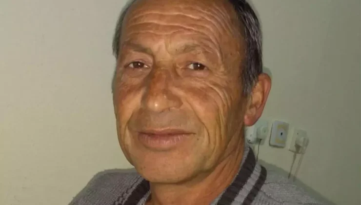 Bakımını yaptığı bahçenin havuzunda ölü bulundu